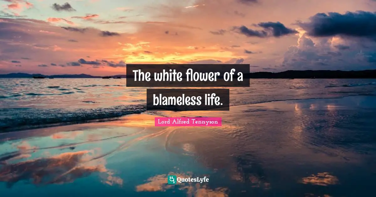 The white flower of a blameless life.