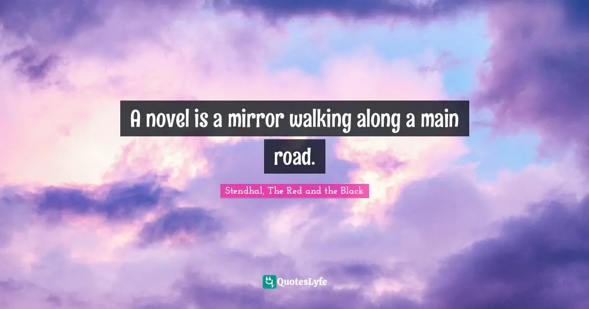 A novel is a mirror walking along a main road.