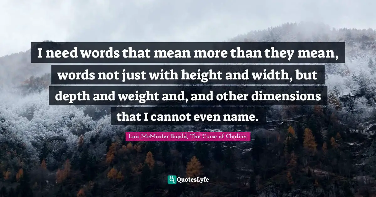 I need words that mean more than they mean, words not just with height and width, but depth and weight and, and other dimensions that I cannot even name.