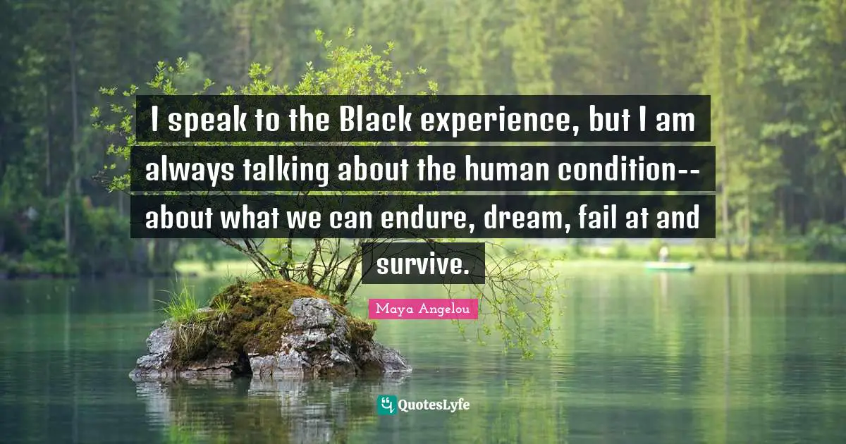 I speak to the Black experience, but I am always talking about the human condition--about what we can endure, dream, fail at and survive.