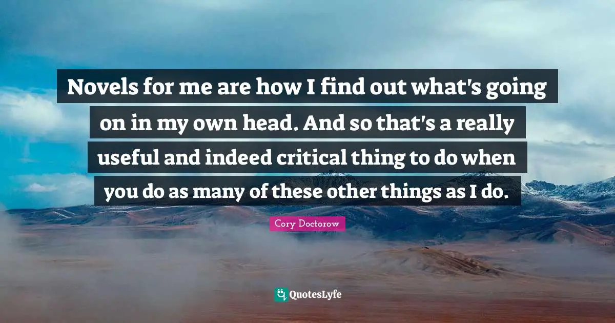 Novels for me are how I find out what's going on in my own head. And so that's a really useful and indeed critical thing to do when you do as many of these other things as I do.