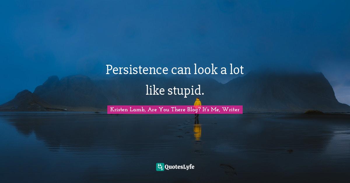 Persistence can look a lot like stupid.