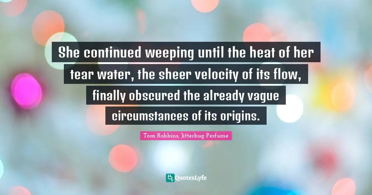 She continued weeping until the heat of her tear water, the sheer velocity of its flow, finally obscured the already vague circumstances of its origins.