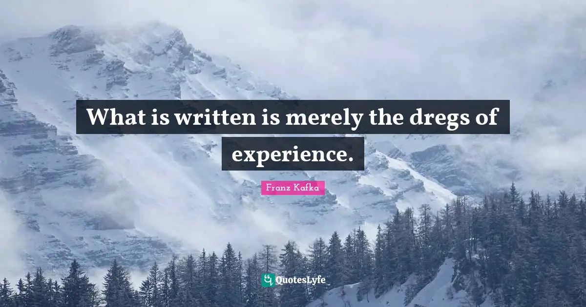What is written is merely the dregs of experience.