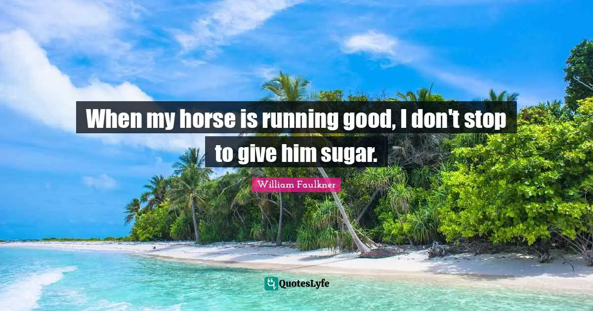 When my horse is running good, I don't stop to give him sugar.
