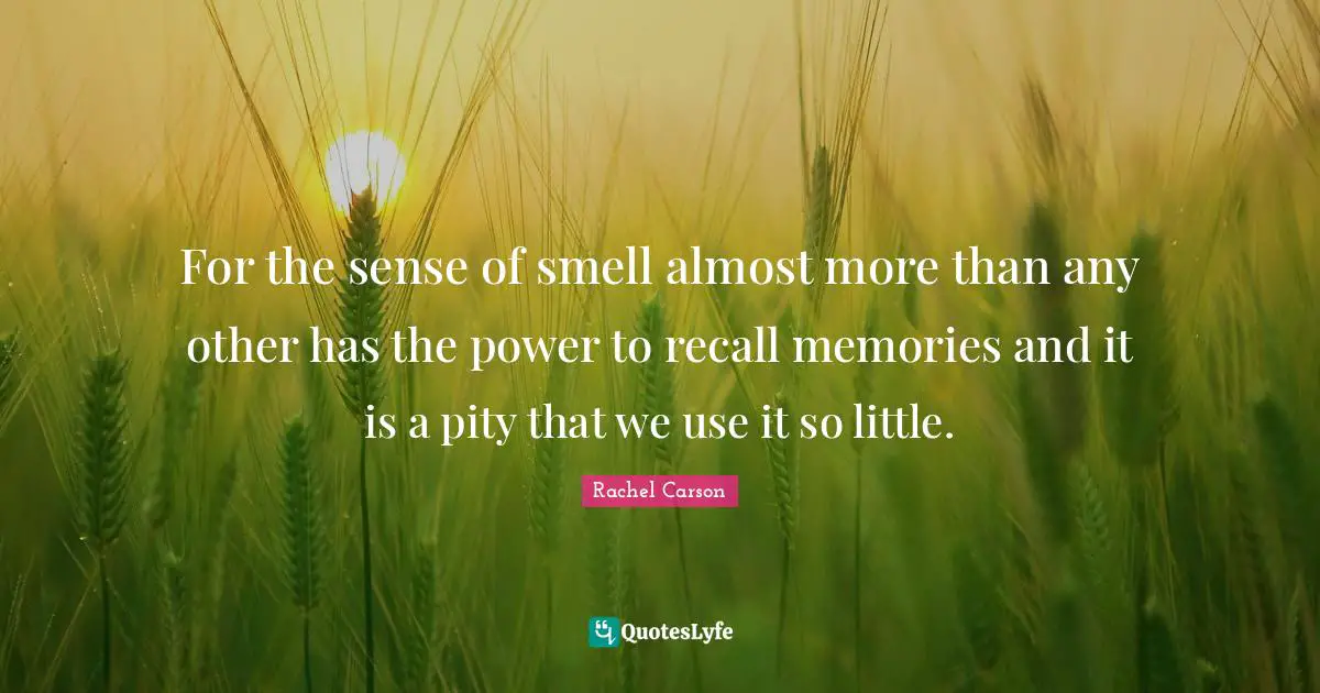 For the sense of smell almost more than any other has the power to recall memories and it is a pity that we use it so little.