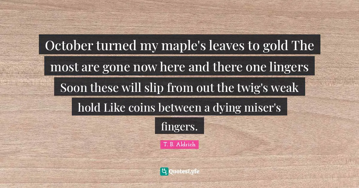 October turned my maple's leaves to gold The most are gone now here and there one lingers Soon these will slip from out the twig's weak hold Like coins between a dying miser's fingers.