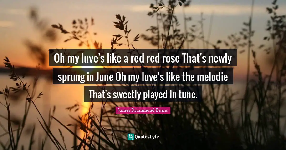 Oh my luve's like a red red rose That's newly sprung in June Oh my luve's like the melodie That's sweetly played in tune.