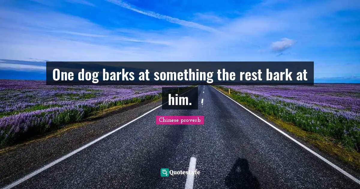 One dog barks at something the rest bark at him.
