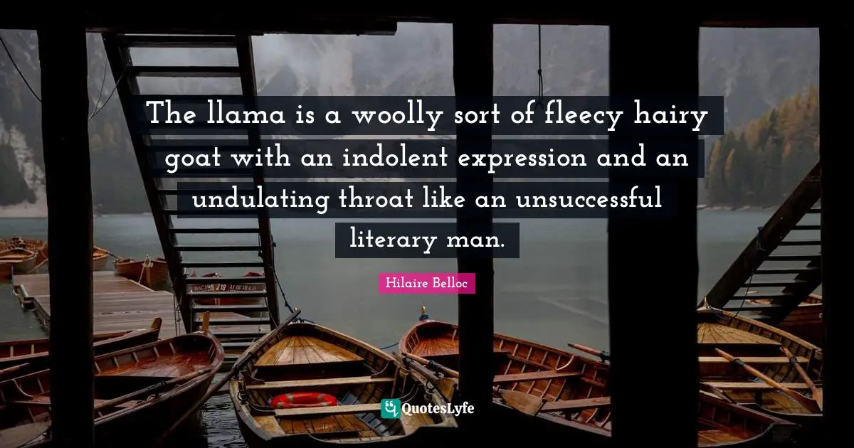 The llama is a woolly sort of fleecy hairy goat with an indolent expression and an undulating throat like an unsuccessful literary man.