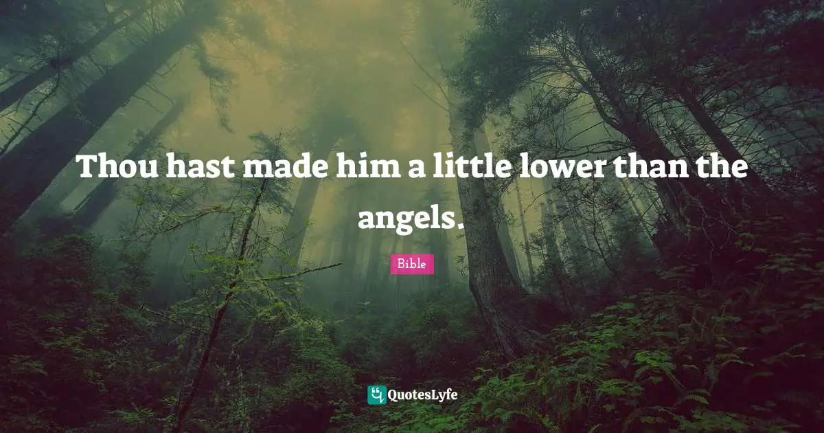 Thou hast made him a little lower than the angels.