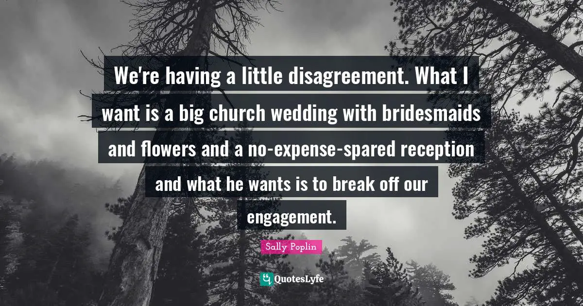 We're having a little disagreement. What I want is a big church wedding with bridesmaids and flowers and a no-expense-spared reception and what he wants is to break off our engagement.