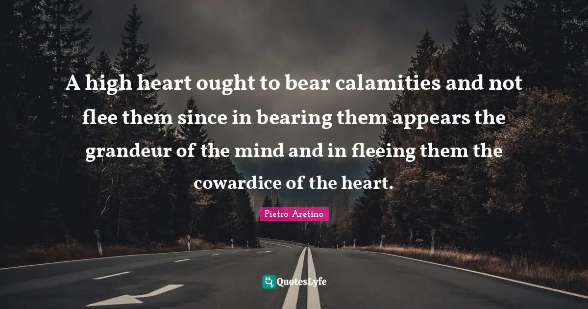 A high heart ought to bear calamities and not flee them since in bearing them appears the grandeur of the mind and in fleeing them the cowardice of the heart.