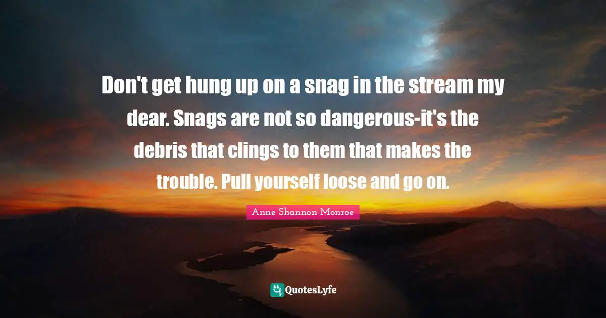 Don't get hung up on a snag in the stream my dear. Snags are not so dangerous-it's the debris that clings to them that makes the trouble. Pull yourself loose and go on.