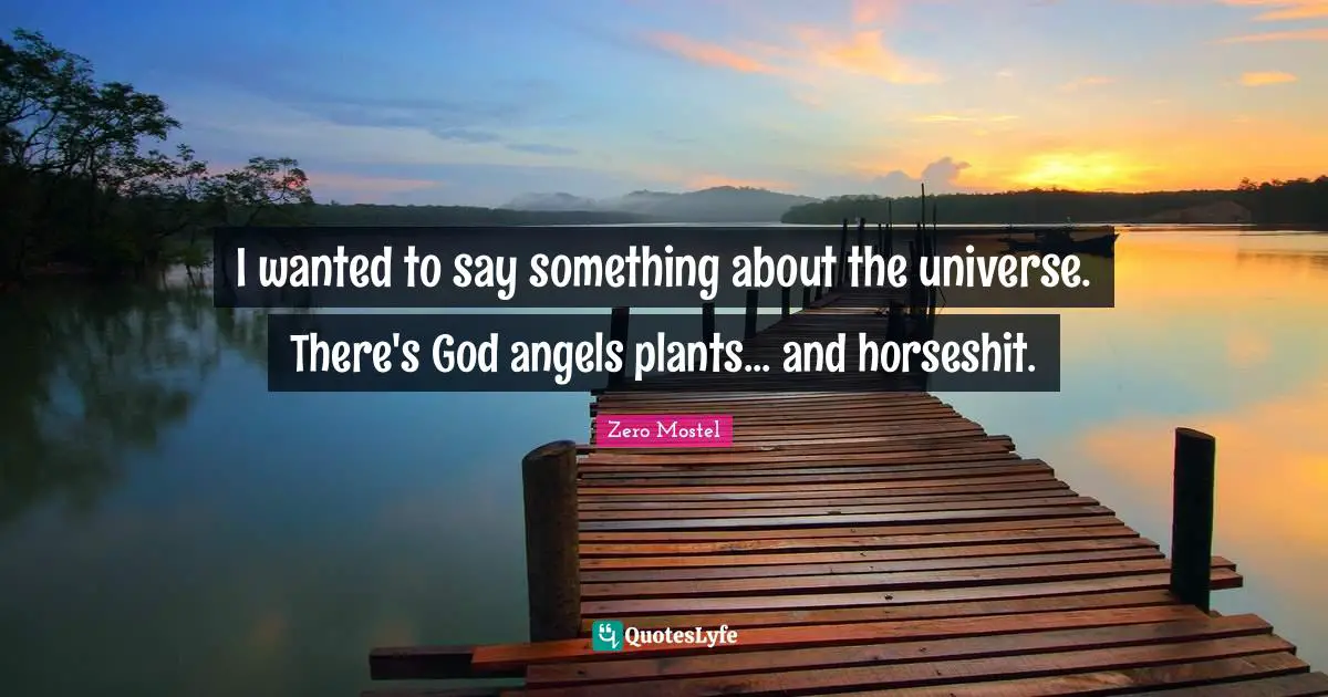 I wanted to say something about the universe. There's God angels plants... and horseshit.