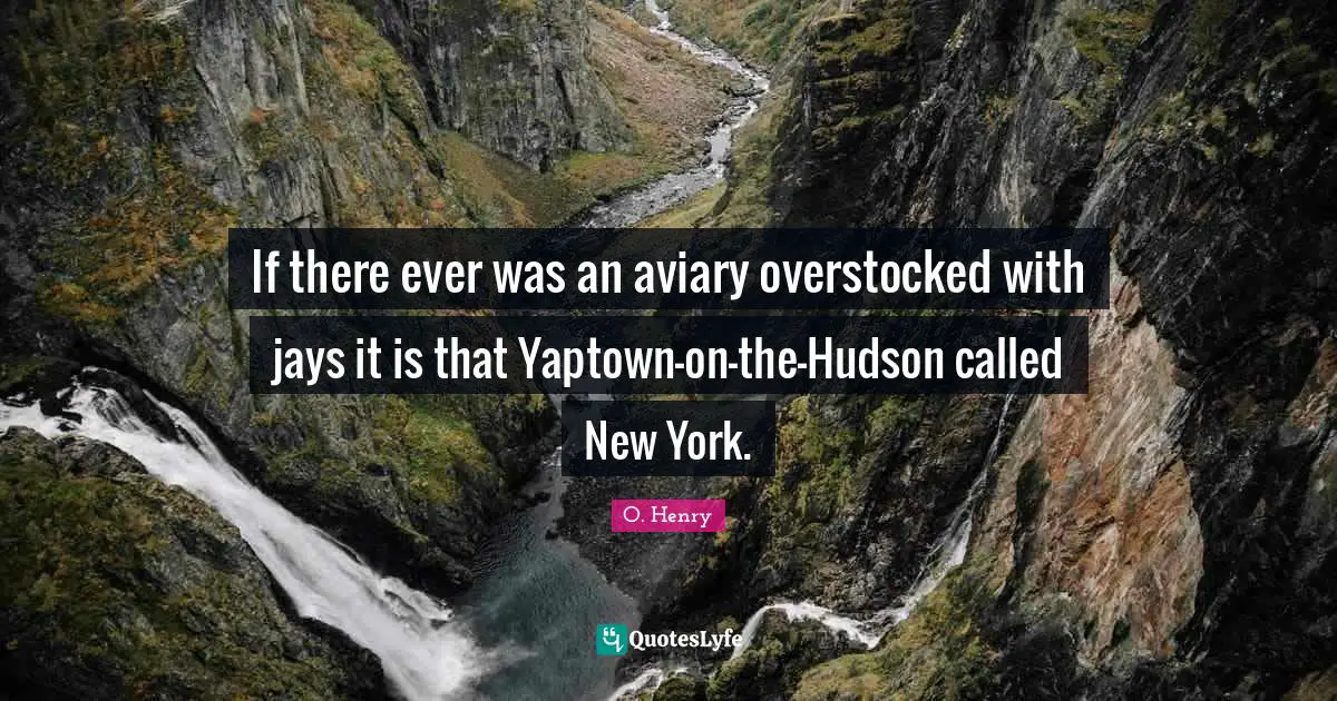 If there ever was an aviary overstocked with jays it is that Yaptown-on-the-Hudson called New York.