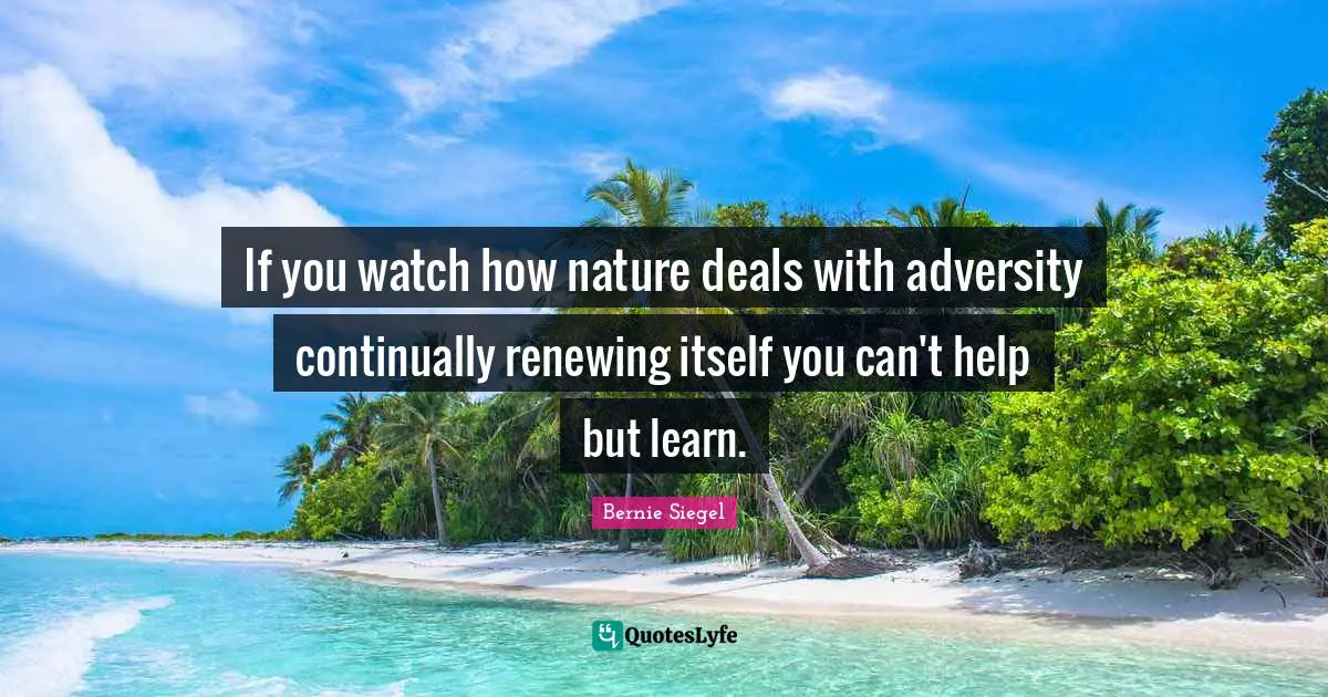 If you watch how nature deals with adversity continually renewing itself you can't help but learn.