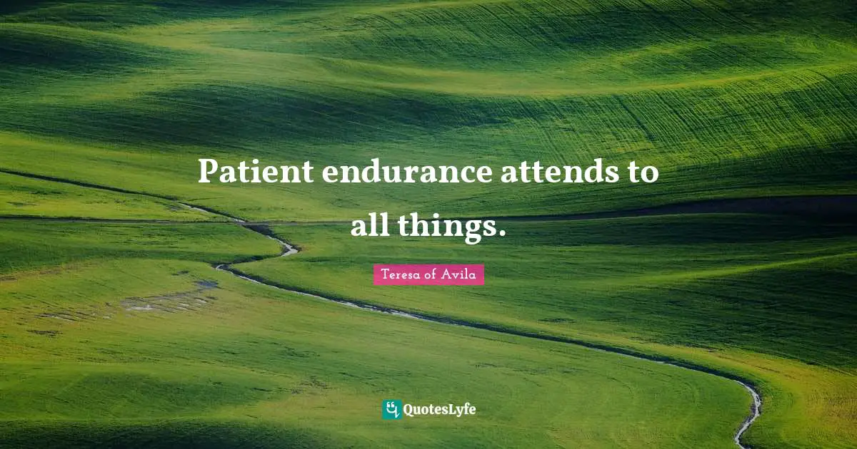 Patient endurance attends to all things.