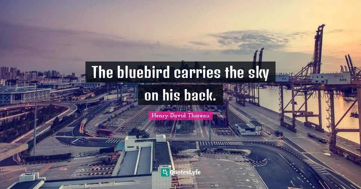 The bluebird carries the sky on his back.