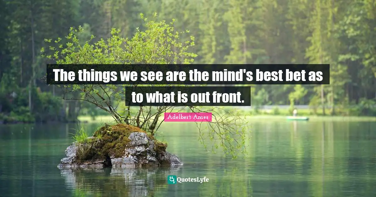 The things we see are the mind's best bet as to what is out front.