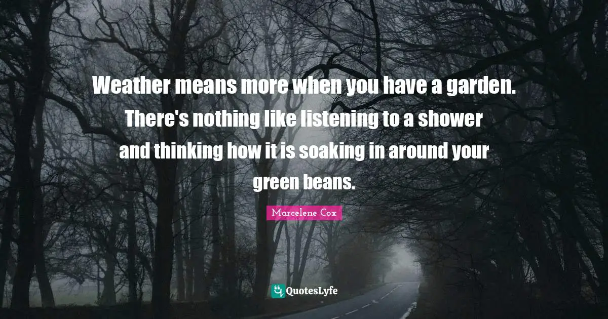 Weather means more when you have a garden. There's nothing like listening to a shower and thinking how it is soaking in around your green beans.