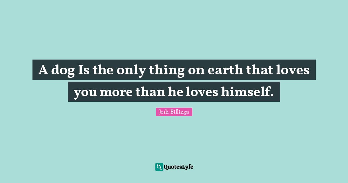 A dog Is the only thing on earth that loves you more than he loves himself.