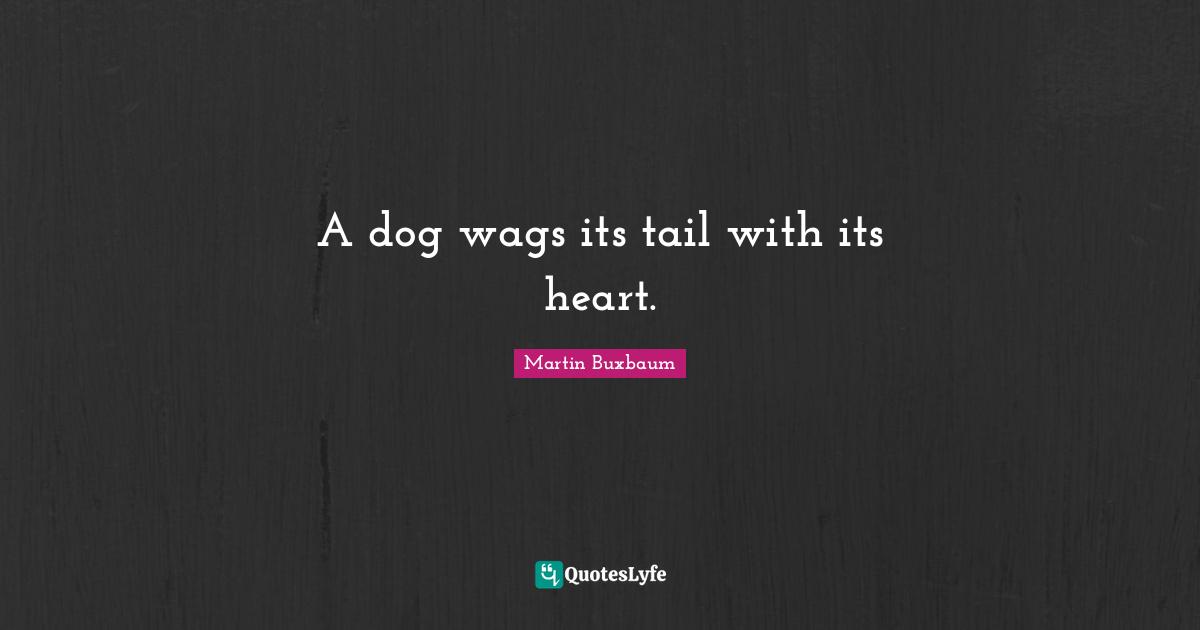 A dog wags its tail with its heart.