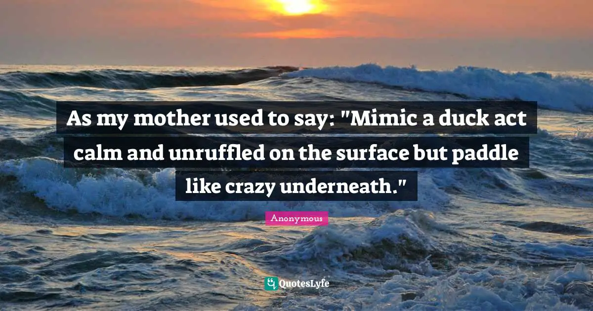 As my mother used to say: "Mimic a duck act calm and unruffled on the surface but paddle like crazy underneath."