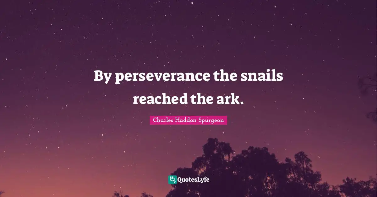 By perseverance the snails reached the ark.