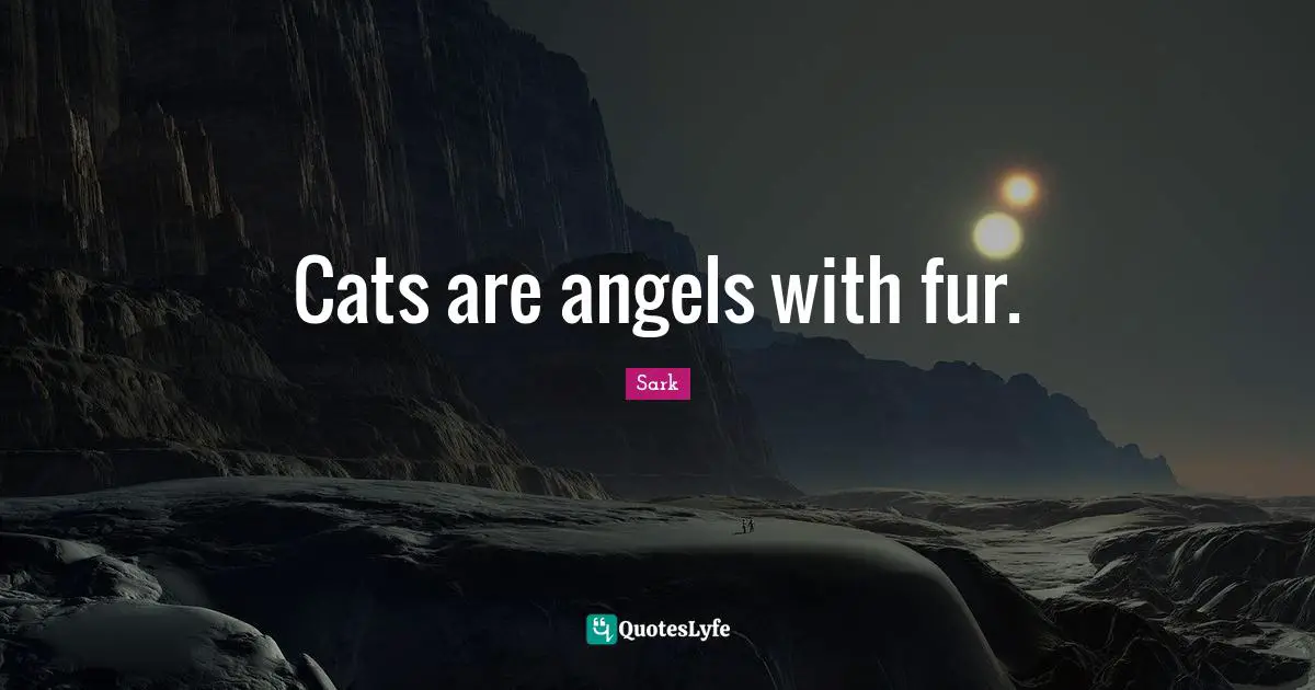 Cats are angels with fur.