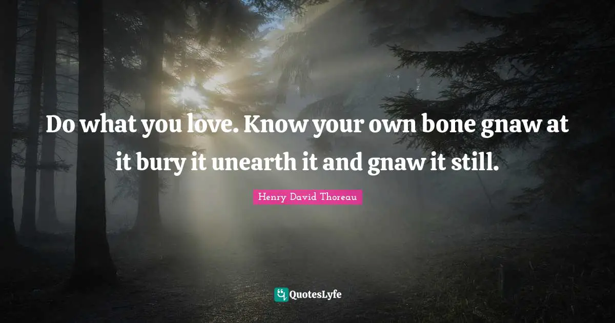 Do what you love. Know your own bone gnaw at it bury it unearth it and gnaw it still.