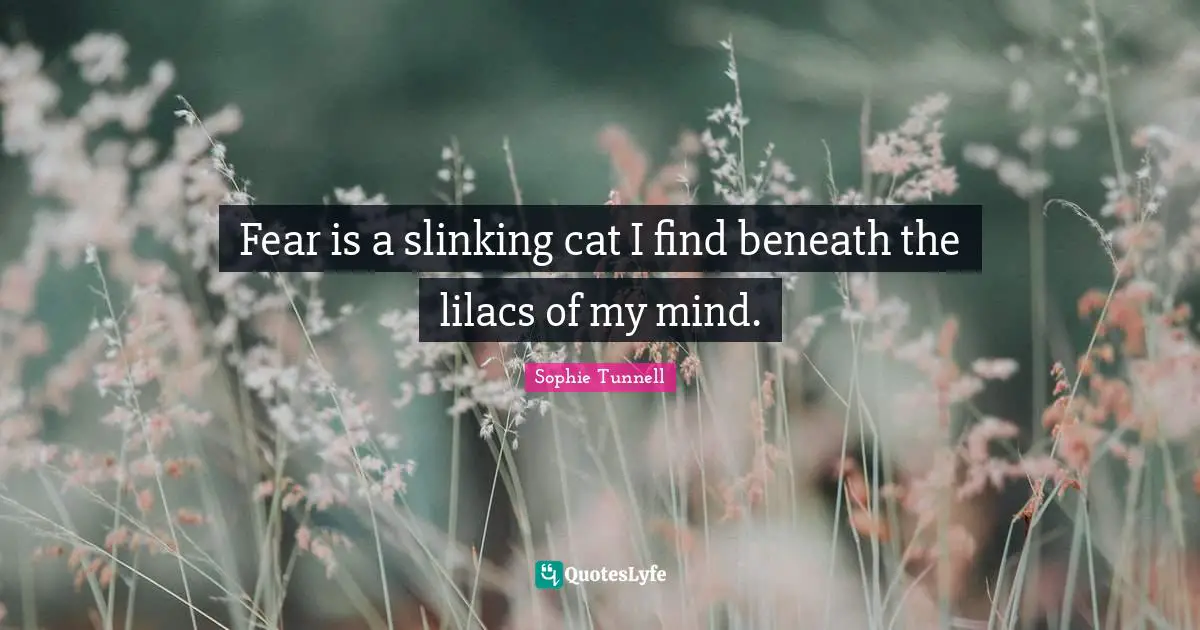 Fear is a slinking cat I find beneath the lilacs of my mind.
