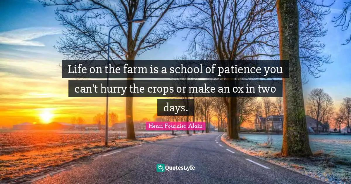 Life on the farm is a school of patience you can't hurry the crops or make an ox in two days.