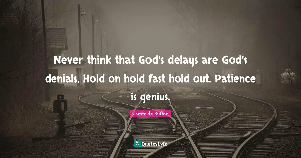 Never think that God's delays are God's denials. Hold on hold fast hold out. Patience is genius.