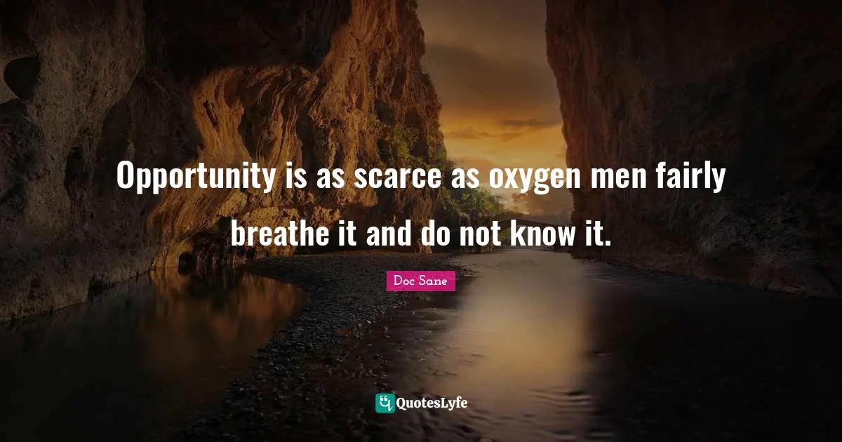 Opportunity is as scarce as oxygen men fairly breathe it and do not know it.