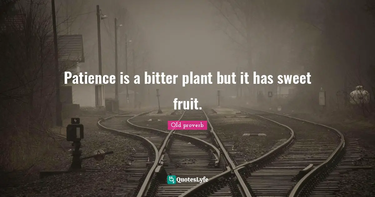Patience is a bitter plant but it has sweet fruit.