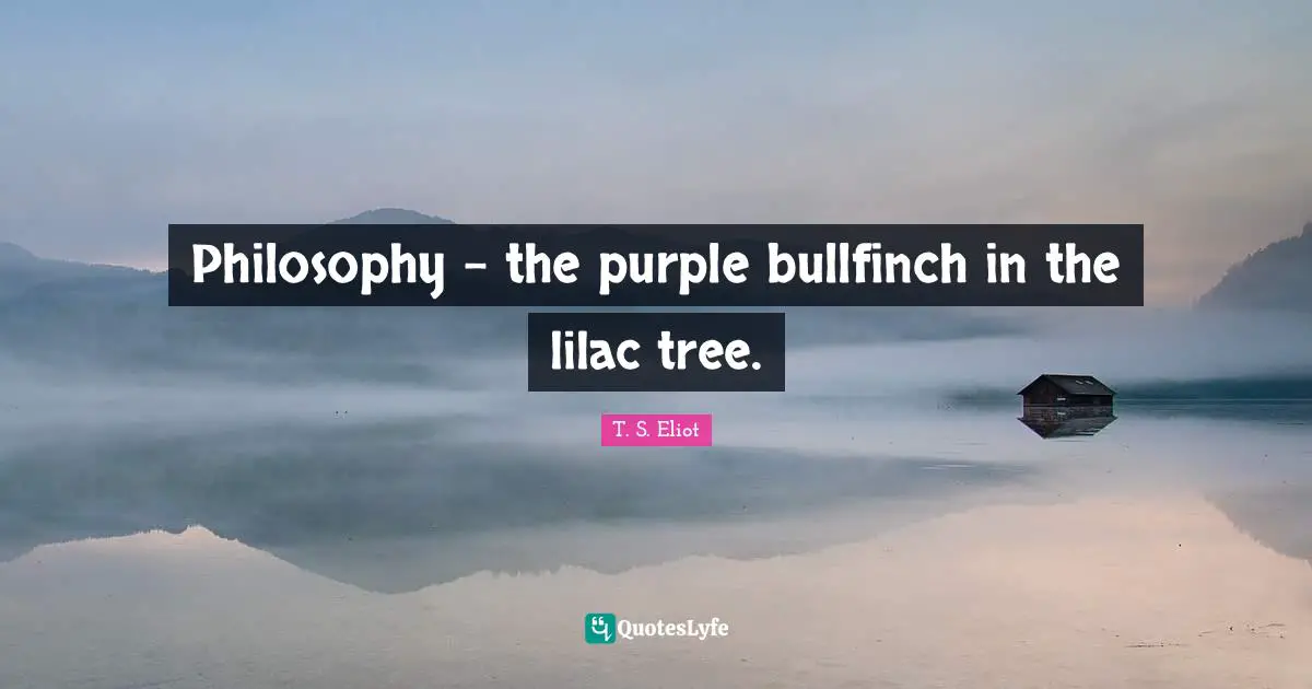 Philosophy - the purple bullfinch in the lilac tree.