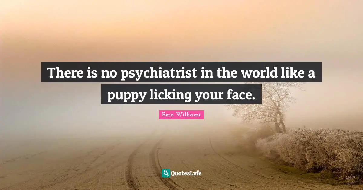 There is no psychiatrist in the world like a puppy licking your face.
