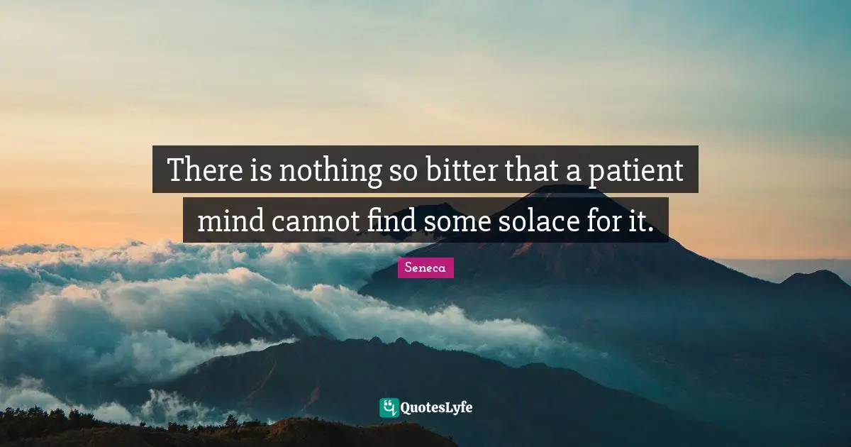 There is nothing so bitter that a patient mind cannot find some solace for it.