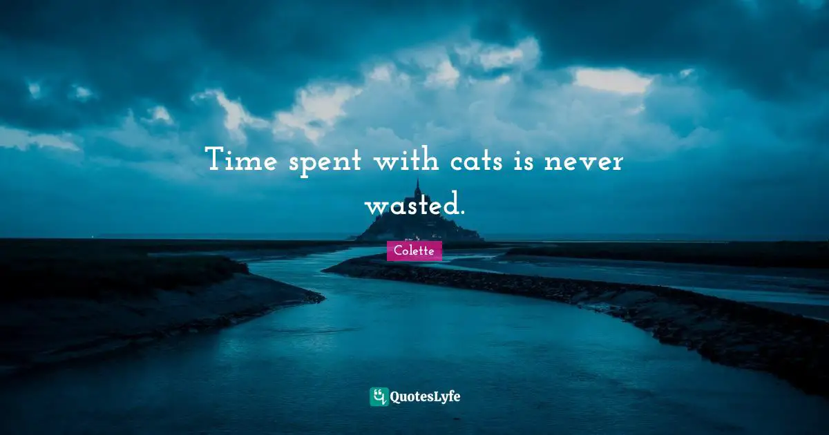 Time spent with cats is never wasted.