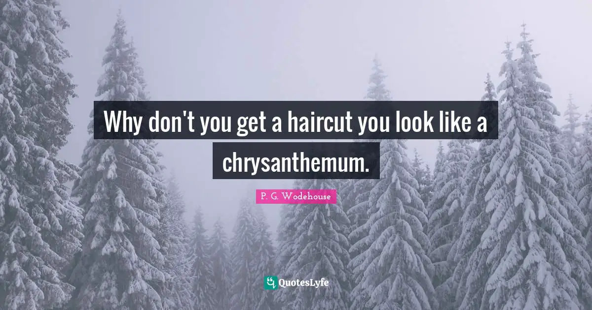 Why don't you get a haircut you look like a chrysanthemum.