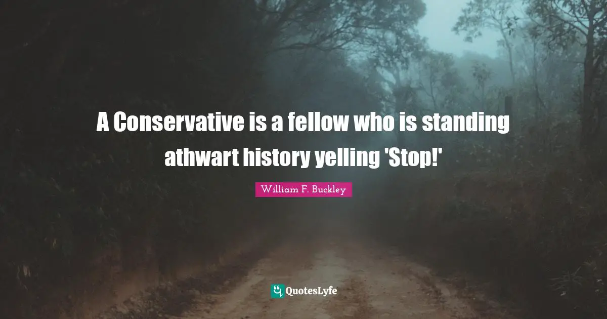A Conservative is a fellow who is standing athwart history yelling 'Stop!'