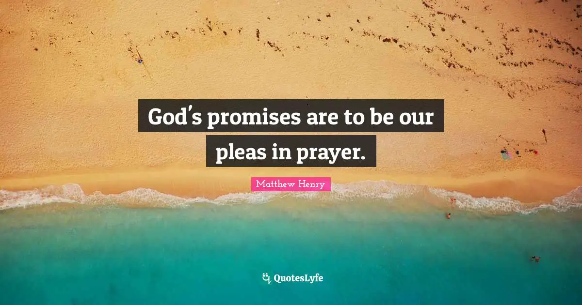 God's promises are to be our pleas in prayer.