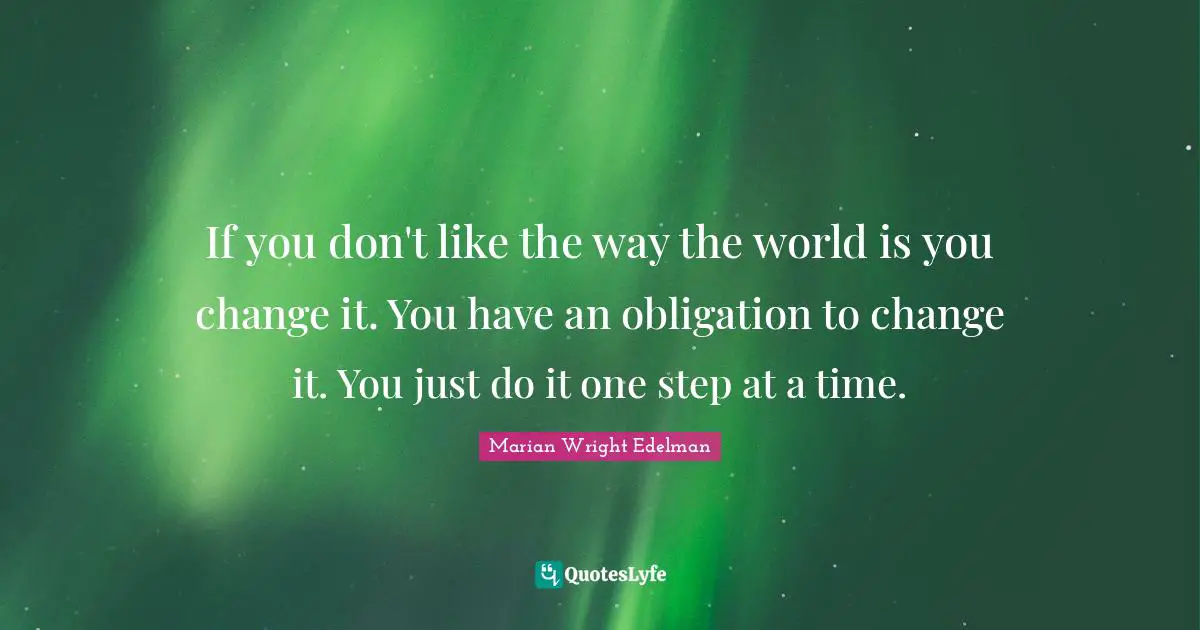 If you don't like the way the world is you change it. You have an obligation to change it. You just do it one step at a time.