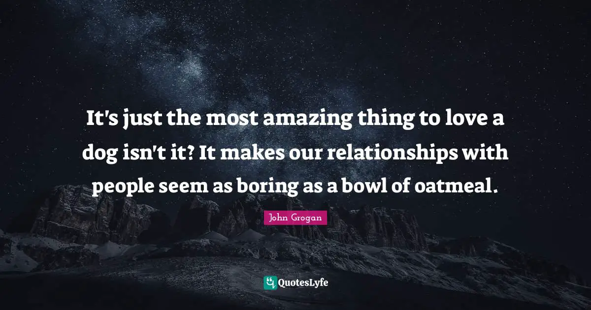 Possessions Quotes: "It's just the most amazing thing to love a dog isn't it? It makes our relationships with people seem as boring as a bowl of oatmeal."