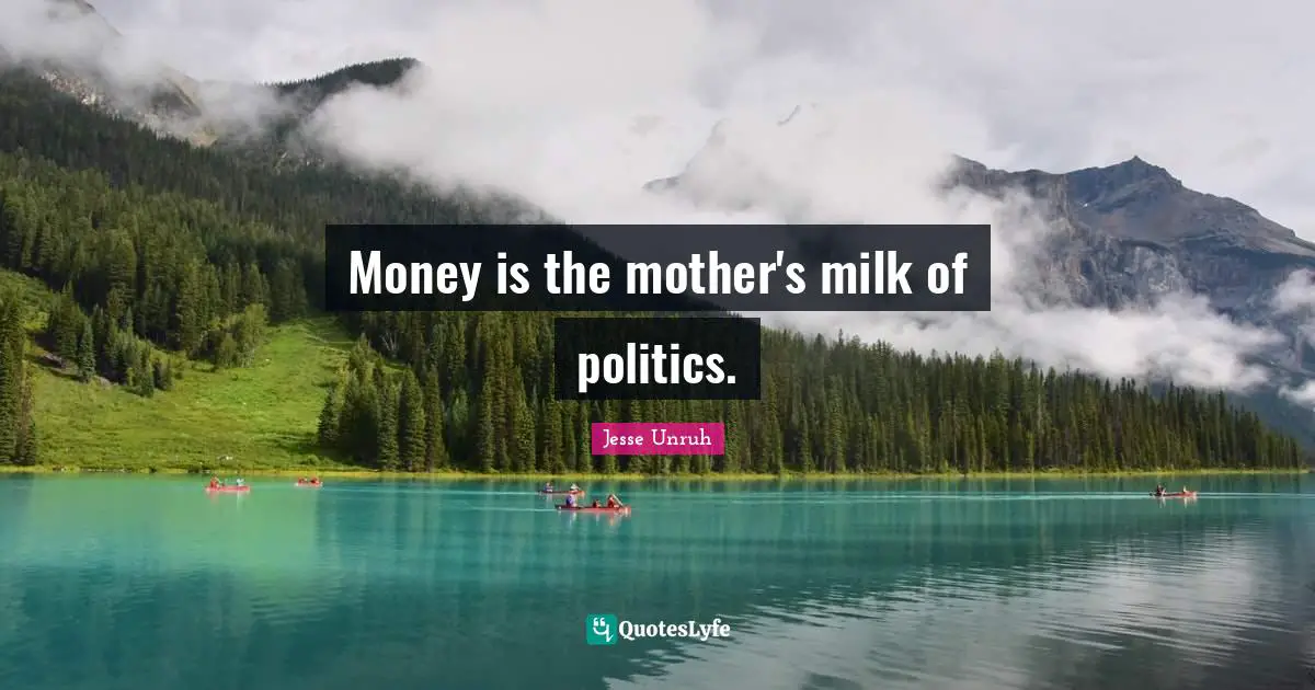 Money is the mother's milk of politics.