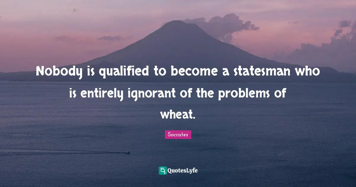 Nobody is qualified to become a statesman who is entirely ignorant of the problems of wheat.