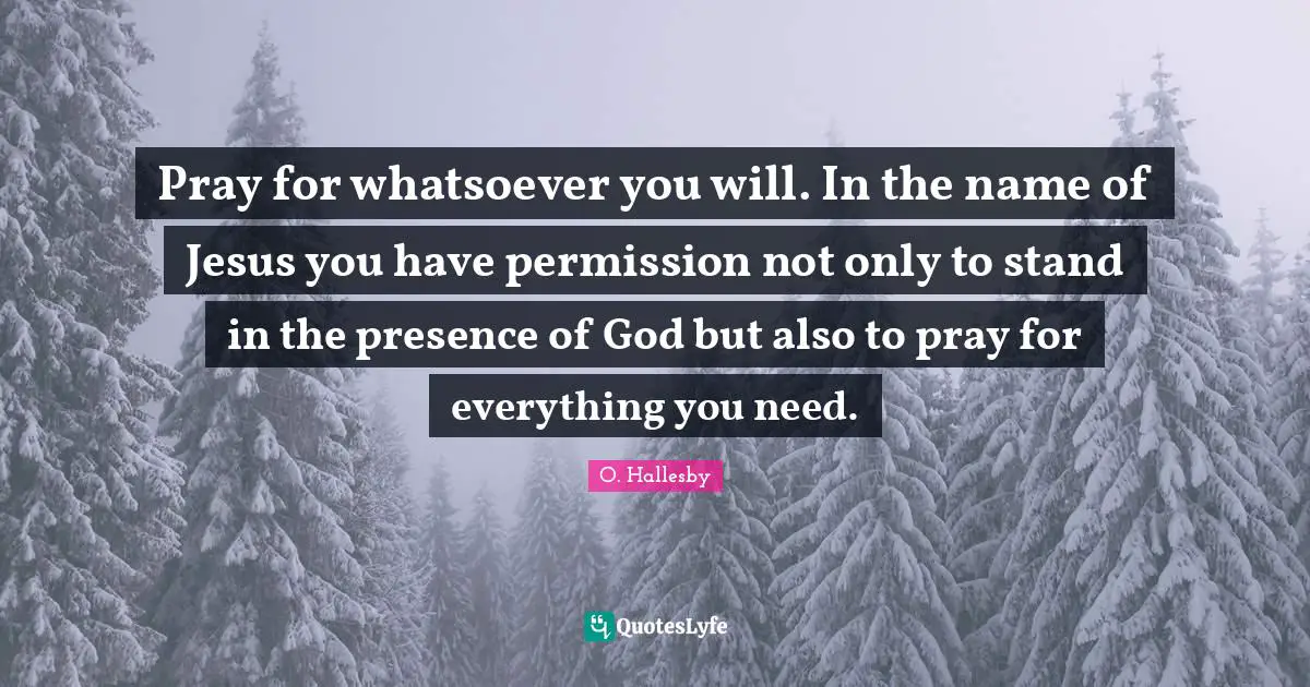 Pray for whatsoever you will. In the name of Jesus you have permission not only to stand in the presence of God but also to pray for everything you need.