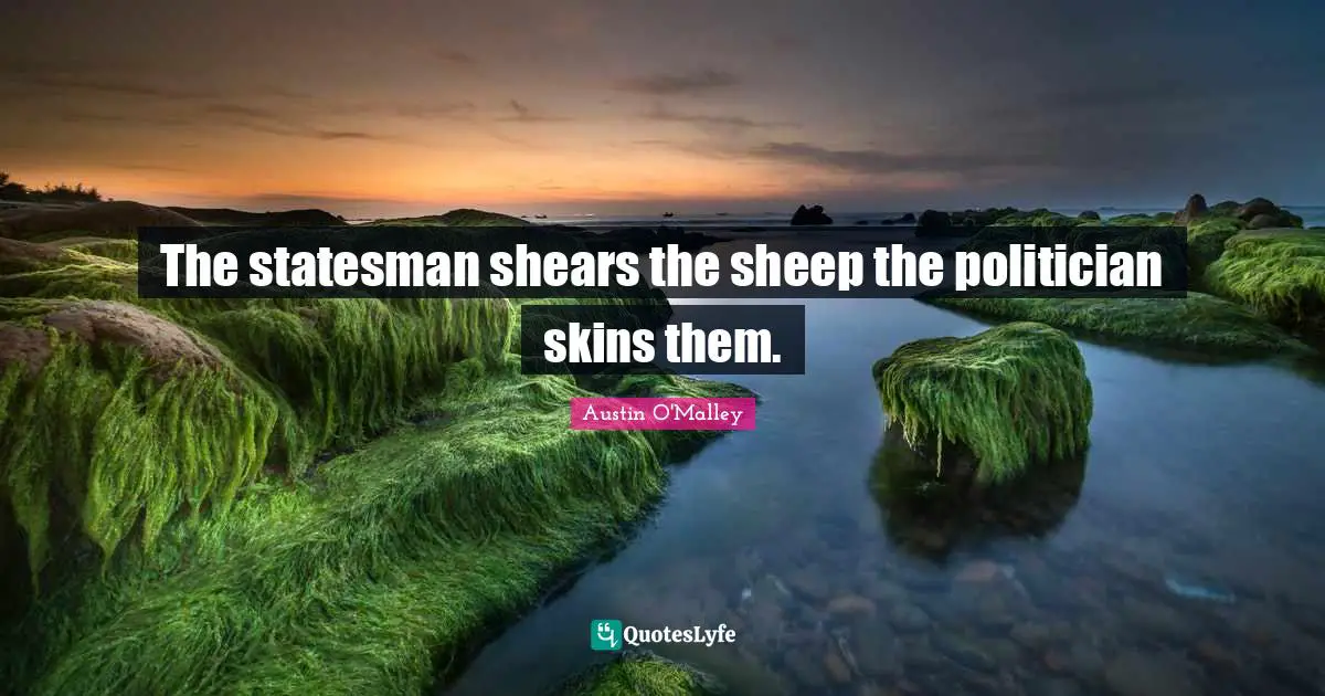 The statesman shears the sheep the politician skins them.