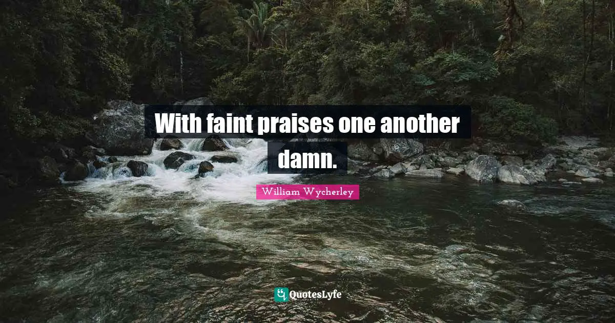 With faint praises one another damn.